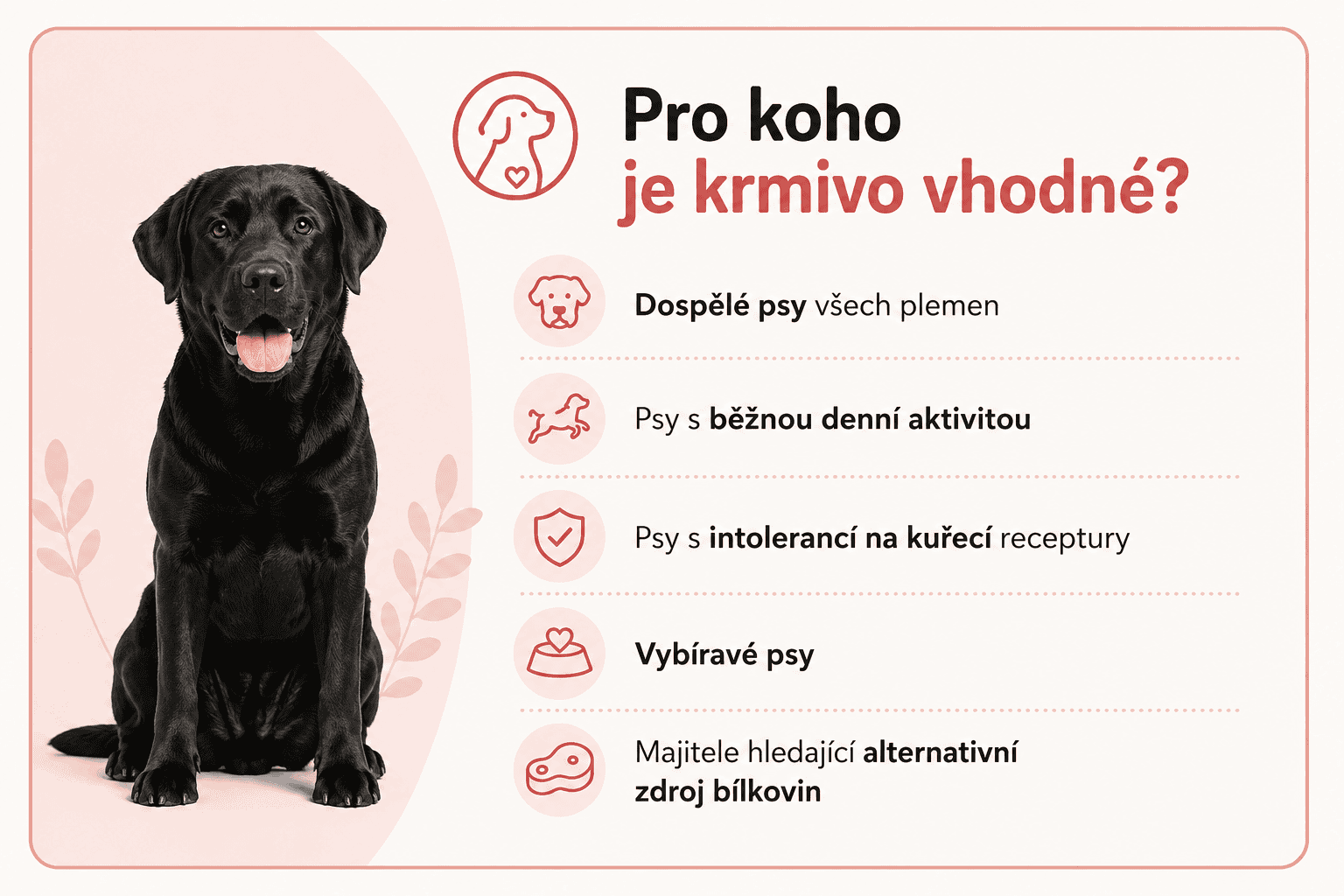Arden Grange Pork pro koho je vhodné